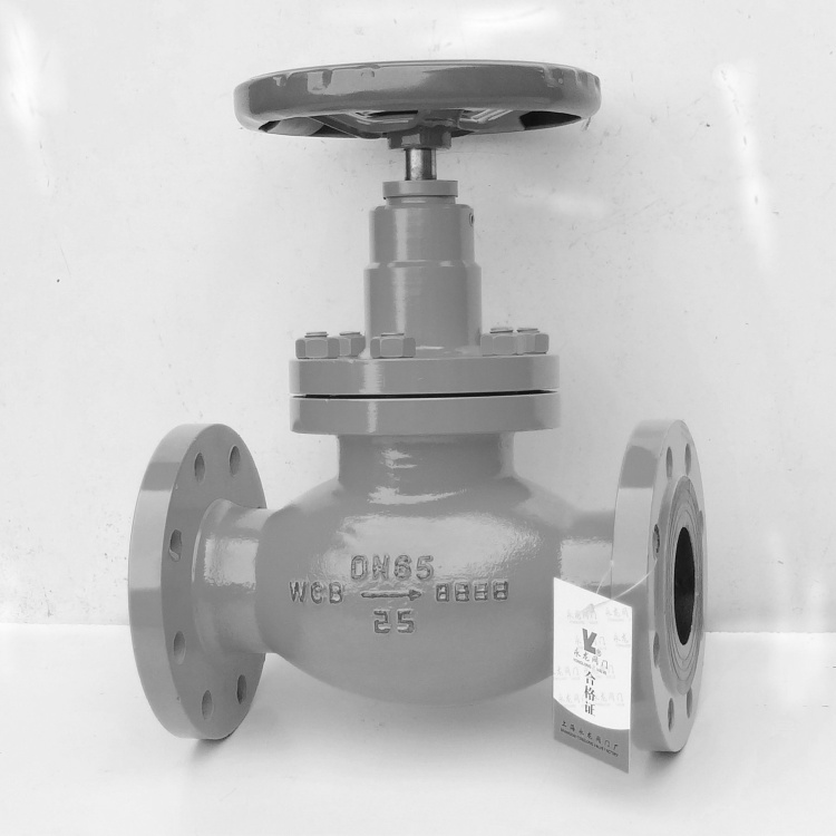  Ammonia stop valve