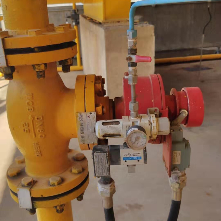 永龙液氨切断阀在新疆阜丰生物科技有限公司氨站应用案例 永龙液氨切断阀在新疆阜丰生物科技有限公司氨站应用案例