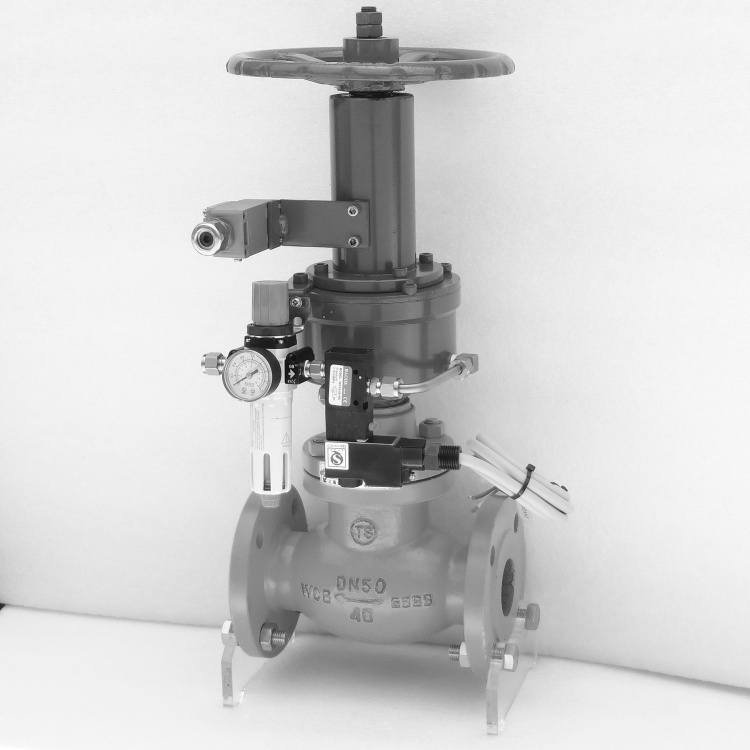  Pneumatic on-off valve for liquid ammonia