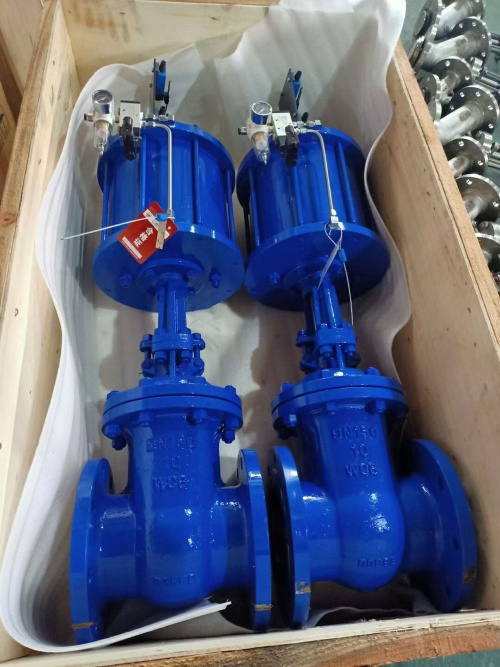 气动闸阀 Pneumatic valve